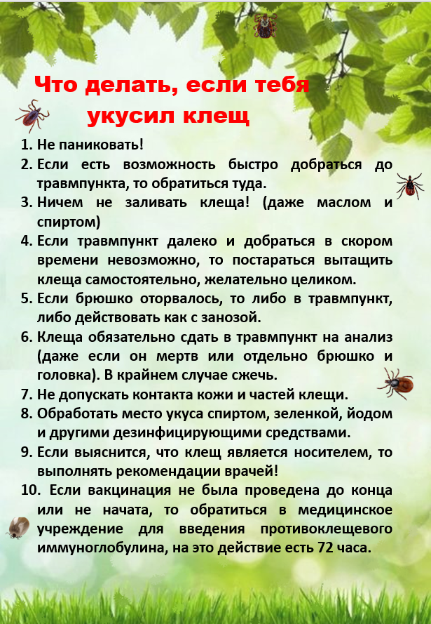 Действия при укусе